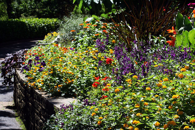 Beautiful Flower Bed